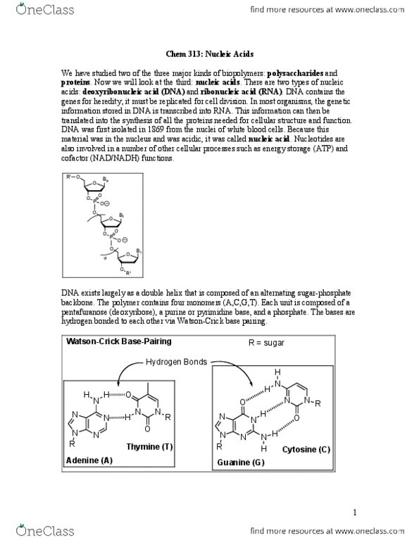 CHEM 313 Lecture Notes - 3I, Benzamide, Sin thumbnail