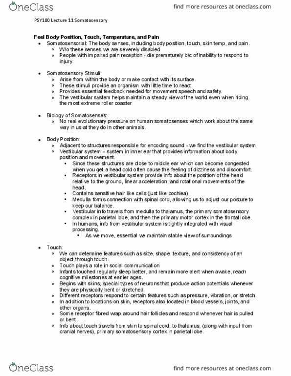 PSY100H1 Lecture Notes - Lecture 11: Postcentral Gyrus, Parietal Lobe, Vestibular System thumbnail