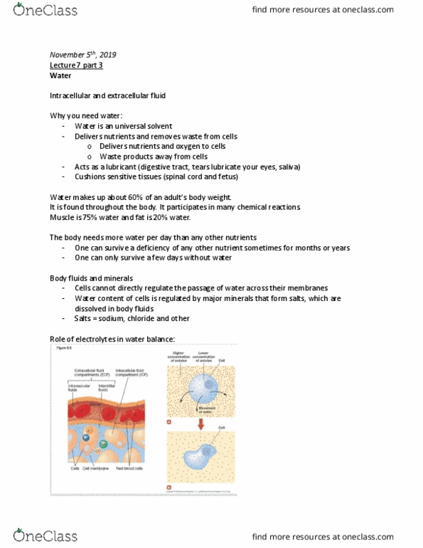 SAR HS 201 Lecture Notes - Lecture 7: Extracellular Fluid, Fluid Balance, Water Content thumbnail