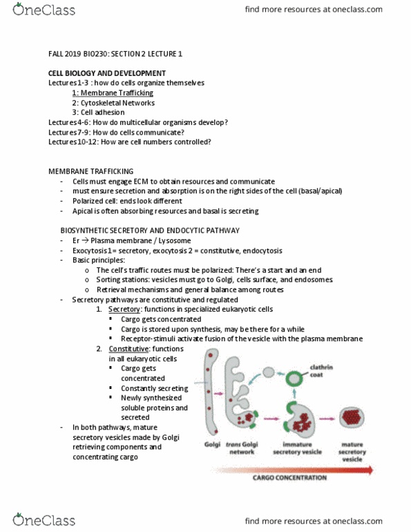 BIO230H1 Lecture Notes - Lecture 14: Secretion, Cell Membrane, Cell Adhesion cover image