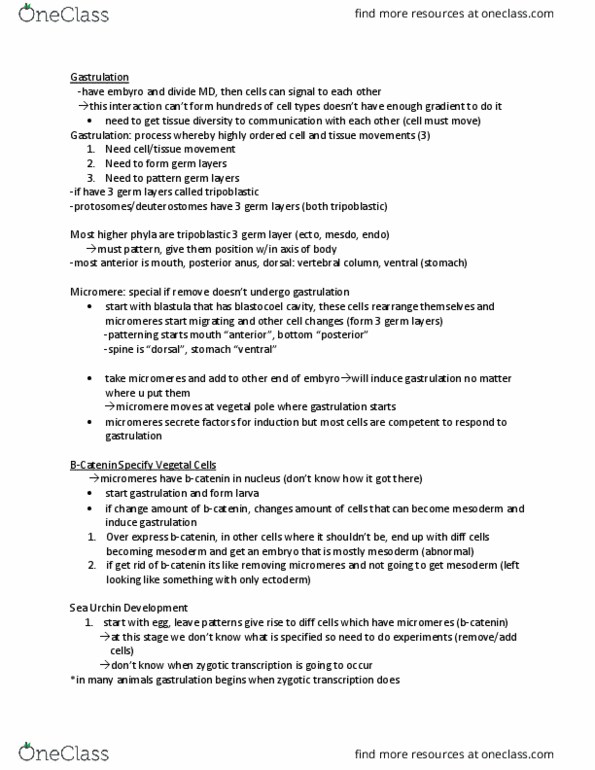 Biology 3338A Lecture Notes - Lecture 5: Germ Layer, Gastrulation, Polarity In Embryogenesis thumbnail