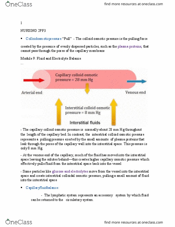 NURSING 2PF3 Lecture Notes - Lecture 1: Capillary, Electrolyte, Extracellular Fluid thumbnail