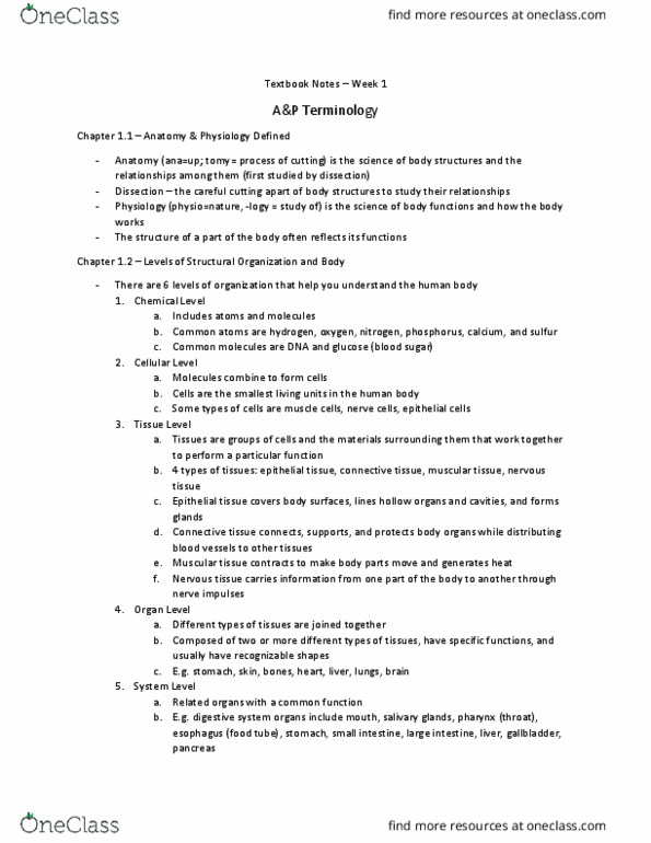 HTHSCI 1H06 Chapter 1: A&P Terminology thumbnail