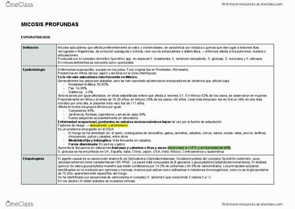 HCA-1107 Lecture Notes - Lecture 11: Sporothrix Schenckii, Los Mismos, Ophiostomataceae thumbnail