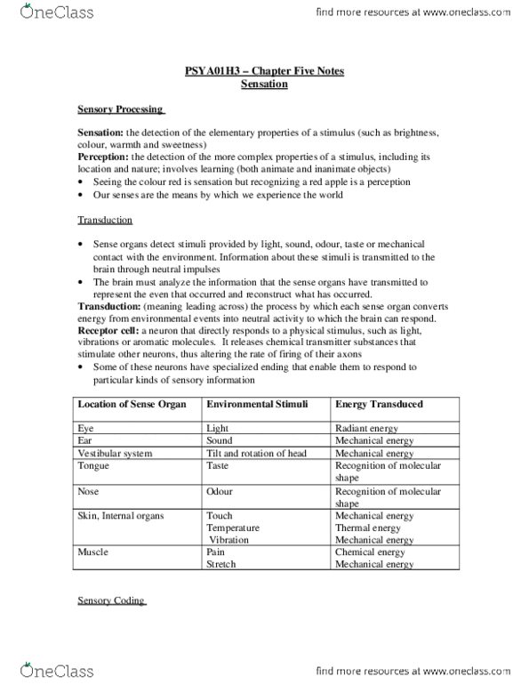 PSY100H1 Chapter Notes - Chapter 5: Cornea, Color Blindness, Olfaction thumbnail