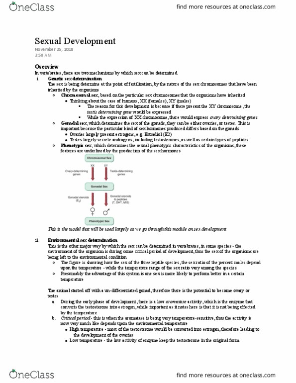 BIOD27H3 Lecture Notes - Lecture 5: Sexual Differentiation, Gonad, Aromatase thumbnail