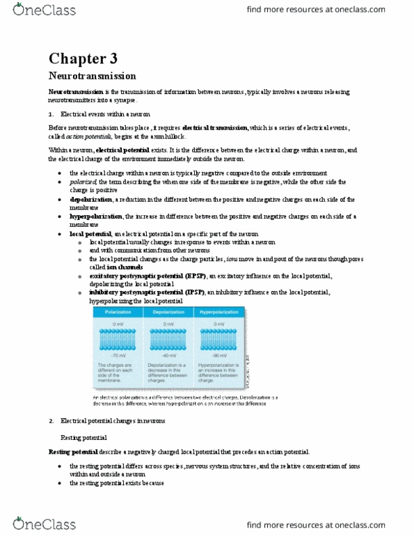 PSYC62H3 Chapter Notes - Chapter 3: Inhibitory Postsynaptic Potential, Axon Hillock, Neurotransmission thumbnail
