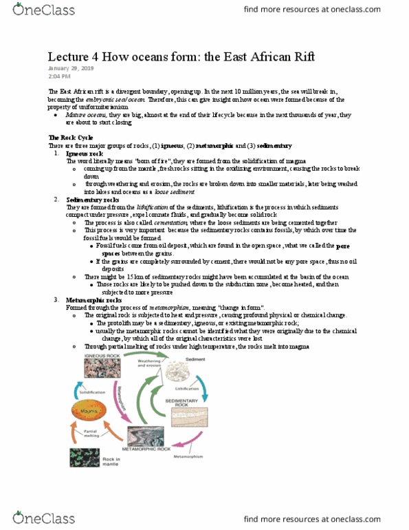 EESA06H3 Lecture Notes - Lecture 4: East African Rift, Connate Fluids, Oceanic Basin thumbnail