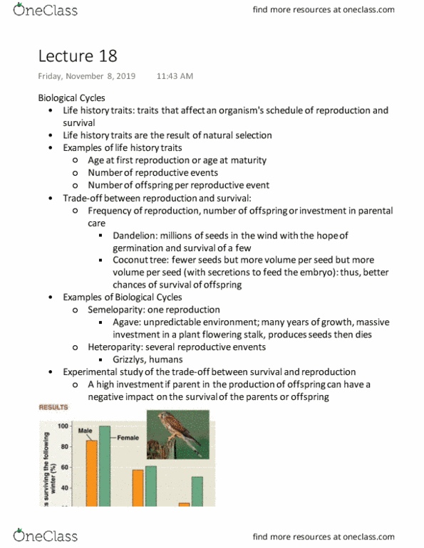BIO 1130 Lecture Notes - Lecture 20: Coconut, Vestment, Germination cover image