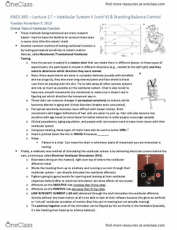 KNES 365 Lecture Notes - Lecture 17: Vestibular System, Hair Cell, Eye Tracking thumbnail