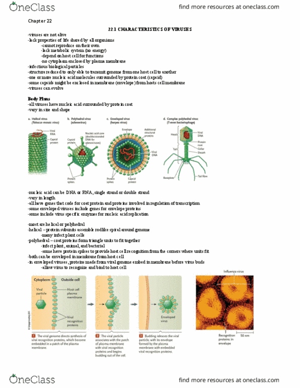 Biology 1001A Lecture Notes - Lecture 1: Rna Virus, Dna Virus, Veterinary Virology thumbnail