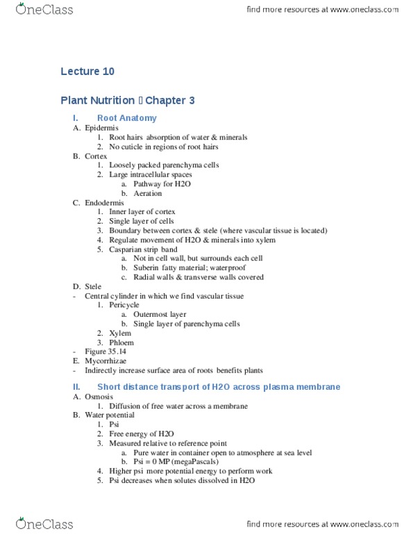 01:119:116 Lecture Notes - Lecture 10: Transpiration, Xylem, Symplast thumbnail