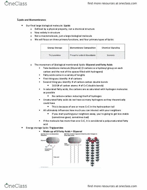 MCB 150 Lecture Notes - Lecture 8: Membrane Lipids, Glycerol, Biological Membrane thumbnail