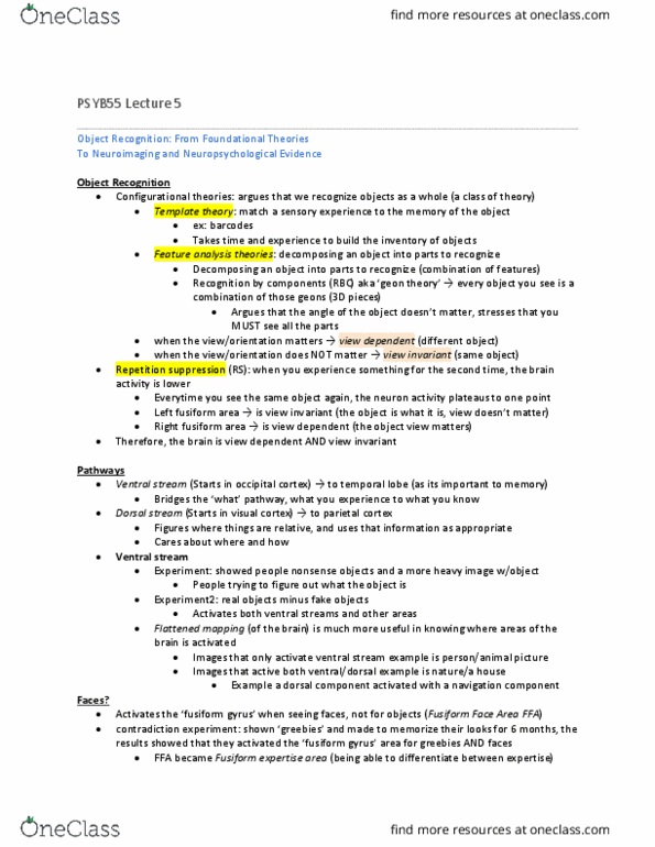 PSYB55H3 Lecture Notes - Lecture 5: Fusiform Gyrus, Fusiform Face Area, Two-Streams Hypothesis thumbnail