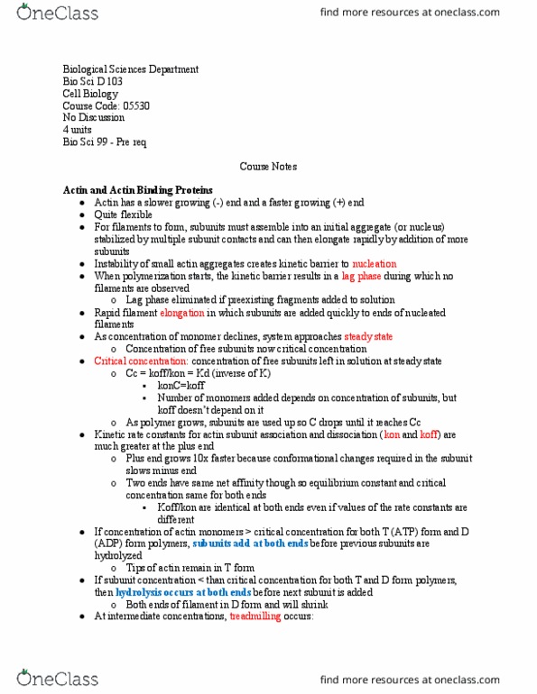 BIO SCI D103 Lecture Notes - Lecture 8: Equilibrium Constant, Treadmilling, Dissociation Constant thumbnail