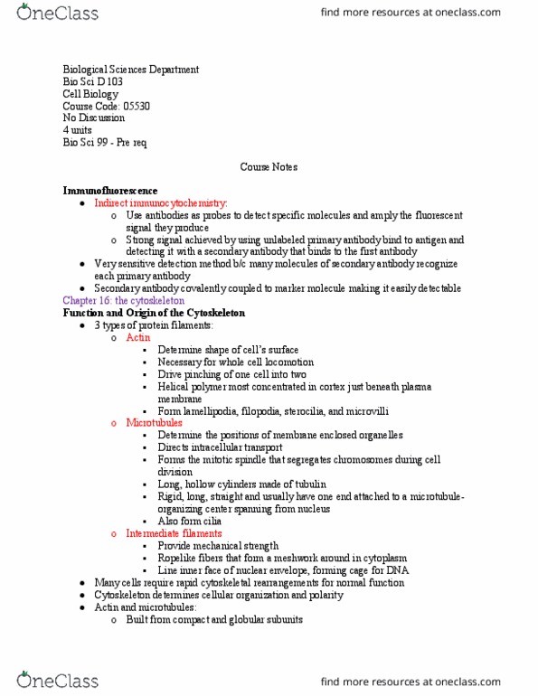 BIO SCI D103 Lecture Notes - Lecture 7: Microtubule Organizing Center, Spindle Apparatus, Primary And Secondary Antibodies thumbnail