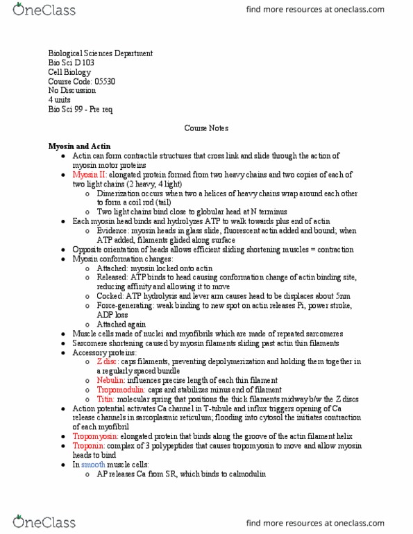 BIO SCI D103 Lecture Notes - Lecture 10: Endoplasmic Reticulum, Myosin, Atp Hydrolysis thumbnail