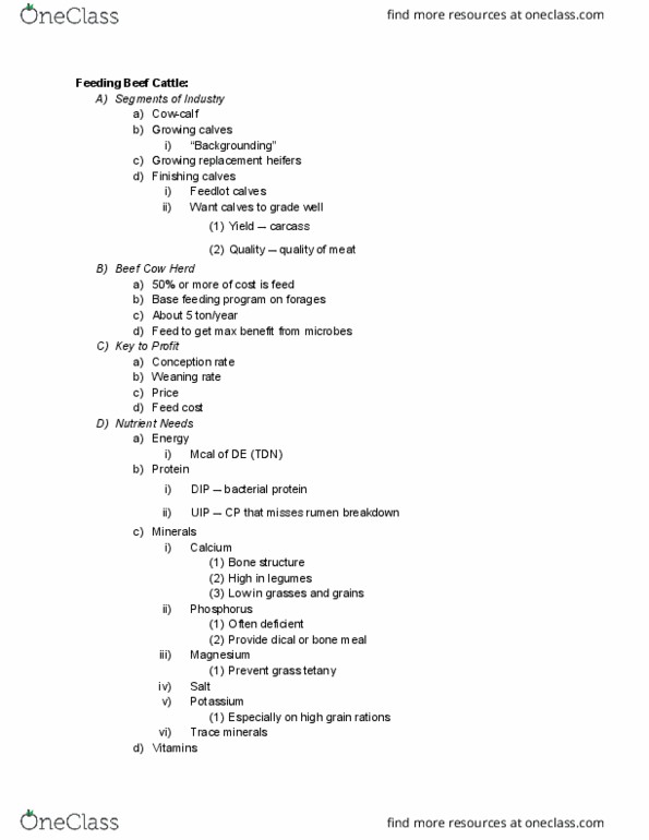 ANSC 22100 Lecture Notes - Lecture 26: Bone Meal, Tetany, Rumen thumbnail