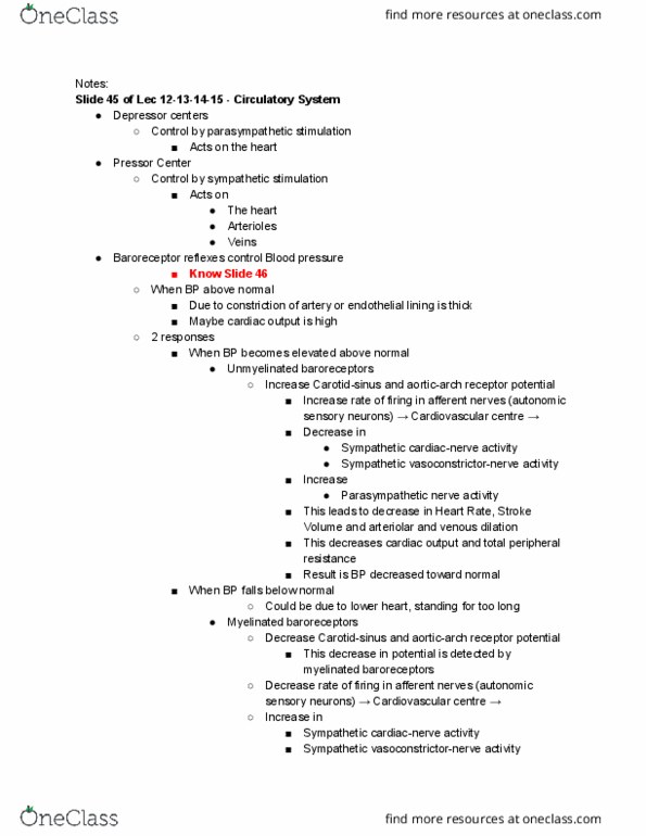 BIO310H5 Lecture Notes - Lecture 17: Vascular Resistance, Parasympathetic Nervous System, Cardiac Output thumbnail