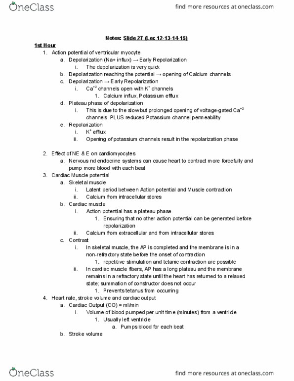 BIO310H5 Lecture Notes - Lecture 16: Potassium Channel, Cardiac Muscle, Cardiac Output thumbnail