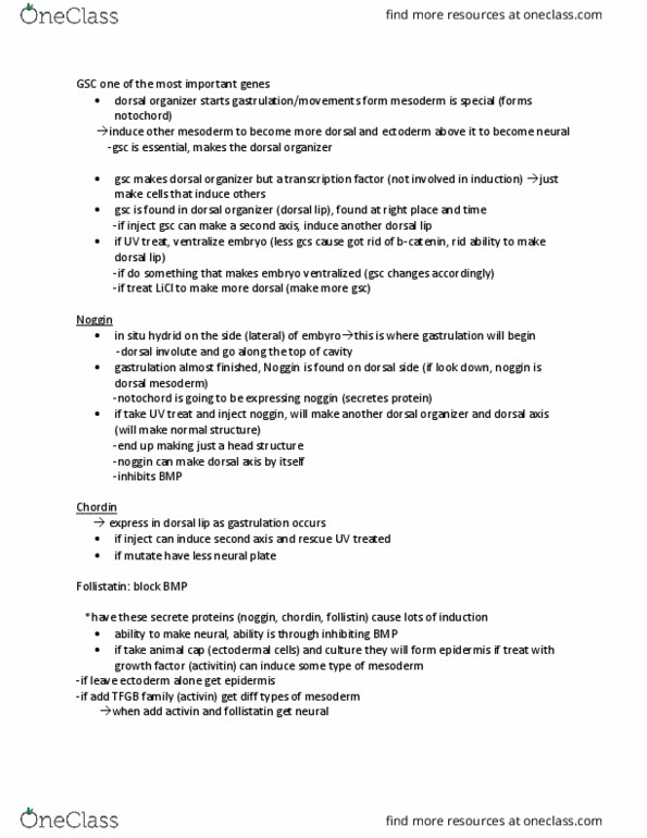 Biology 3338A Lecture Notes - Lecture 8: Follistatin, Activin And Inhibin, Chordin thumbnail