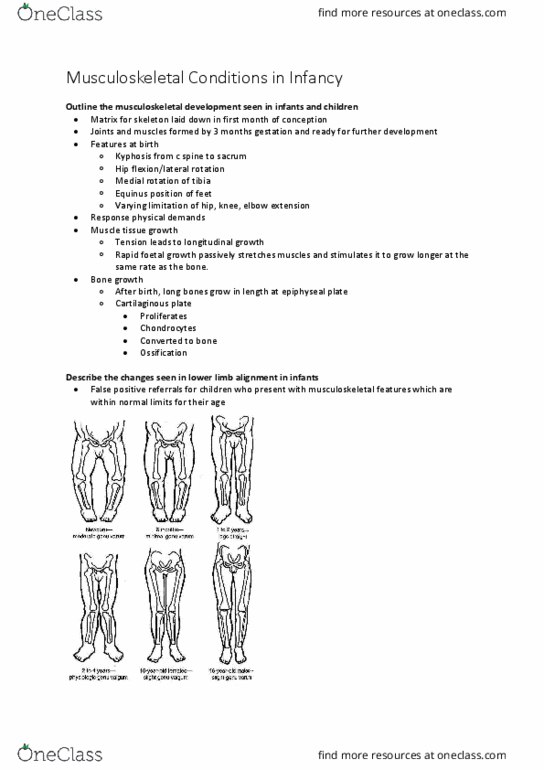 PHTY304 Lecture Notes - Lecture 1: Epiphyseal Plate, Hip, Anatomical Terms Of Motion thumbnail