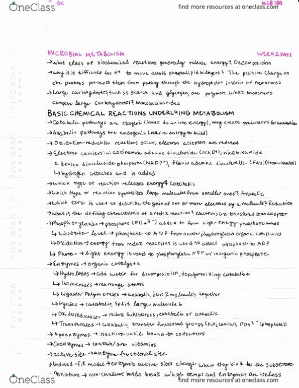 MCB 100 Lecture Notes - Lecture 2: Wildebeest, Rishi, Novella thumbnail