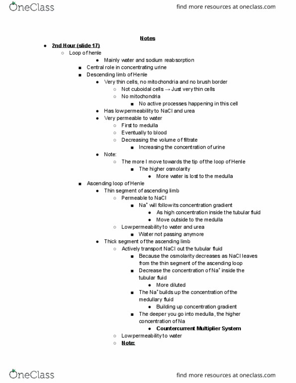 BIO310H5 Lecture Notes - Lecture 18: Ascending Limb Of Loop Of Henle, Tubular Fluid, Descending Limb Of Loop Of Henle thumbnail