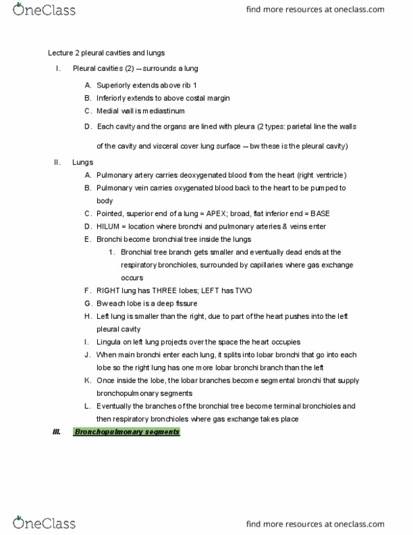 BIOL 358 Lecture Notes - Lecture 5: Pleural Cavity, Bronchial Artery, Pulmonary Vein thumbnail