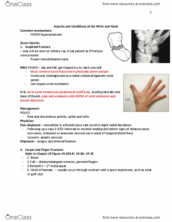 KIN 3160 Lecture Notes - Lecture 21: Anatomical Snuffbox, Scaphoid Fracture, Avascular Necrosis thumbnail