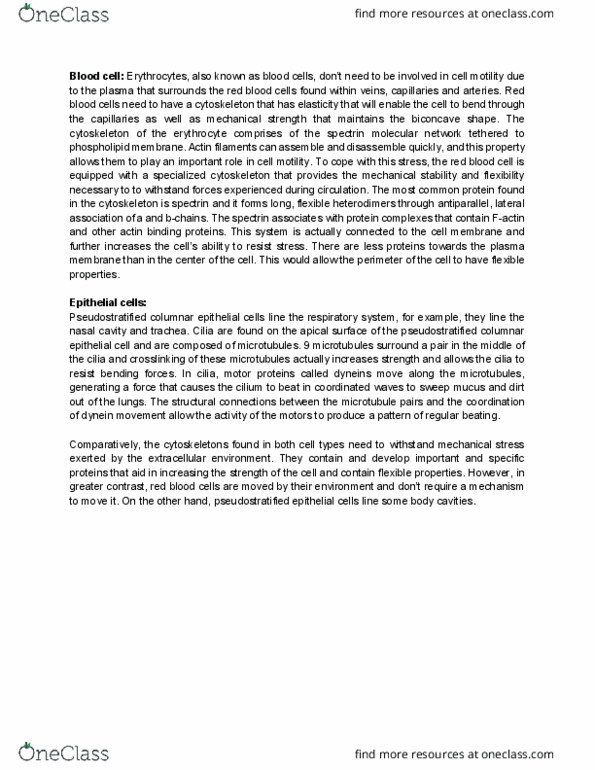 PHGY 170 Lecture Notes - Lecture 8: Red Blood Cell, Spectrin, Dynein thumbnail