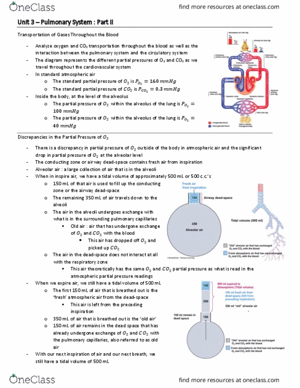 BIO 3342 Lecture Notes - Lecture 26: Alveolar Pressure, Partial Pressure, Respiratory Tract thumbnail