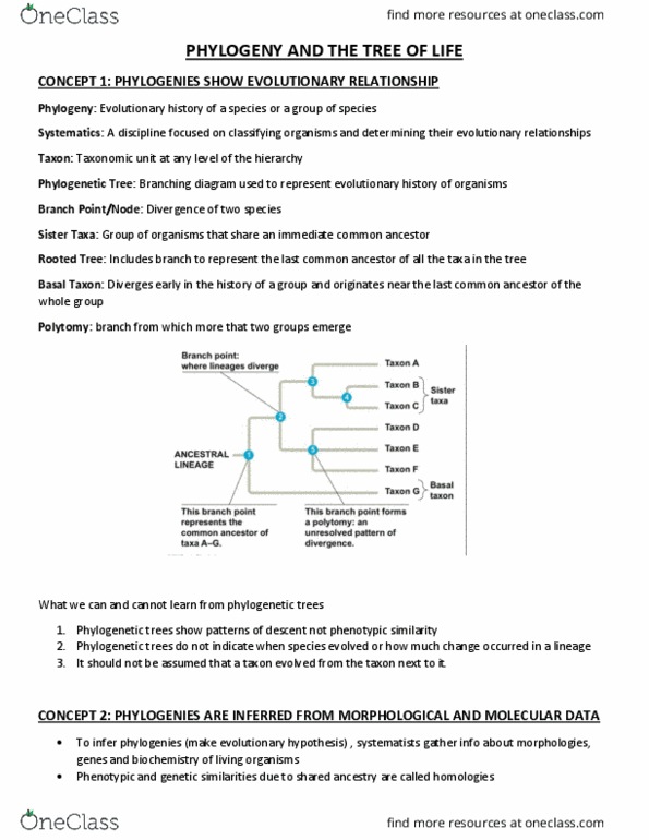 BIOL1101 Lecture Notes - Lecture 9: Ribosomal Rna, Ribosomal Dna, Polyphyly thumbnail