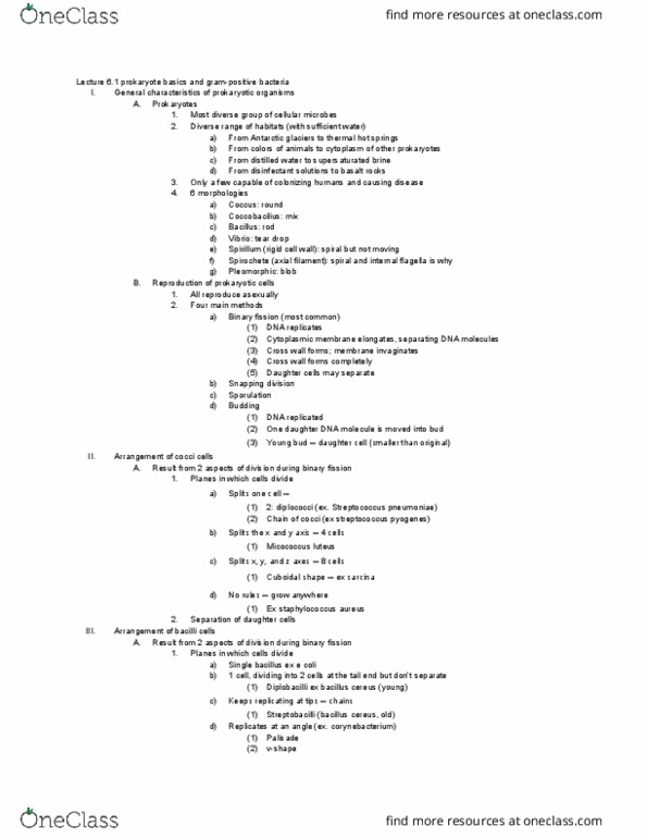 BIOL 358 Lecture Notes - Lecture 30: Streptococcus Pyogenes, Sarcina, Diplococcus thumbnail