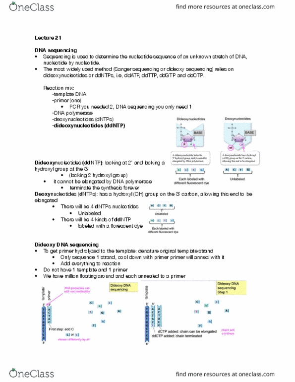 BIOLOGY 172 Lecture Notes - Lecture 21: Sanger Sequencing, Dideoxynucleotide, Data Mining thumbnail