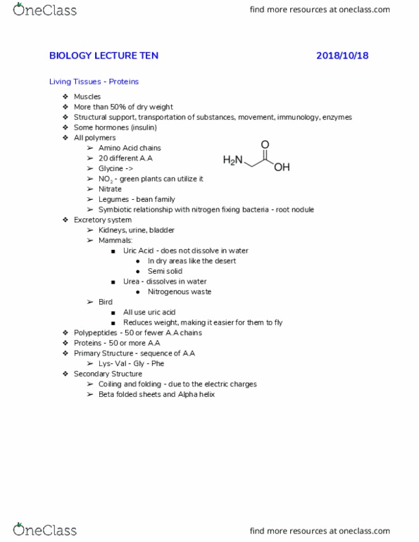 BIOL-1506EL Lecture Notes - Lecture 10: Uric Acid, Root Nodule, Alpha Helix thumbnail
