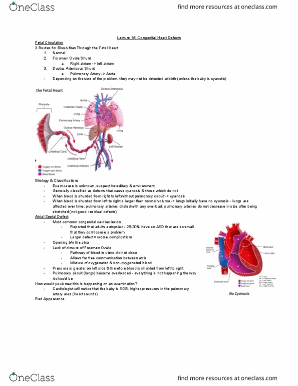 MEDRADSC 3J03 Lecture Notes - Lecture 16: Ductus Arteriosus, Pulmonary Circulation, Cyanosis thumbnail