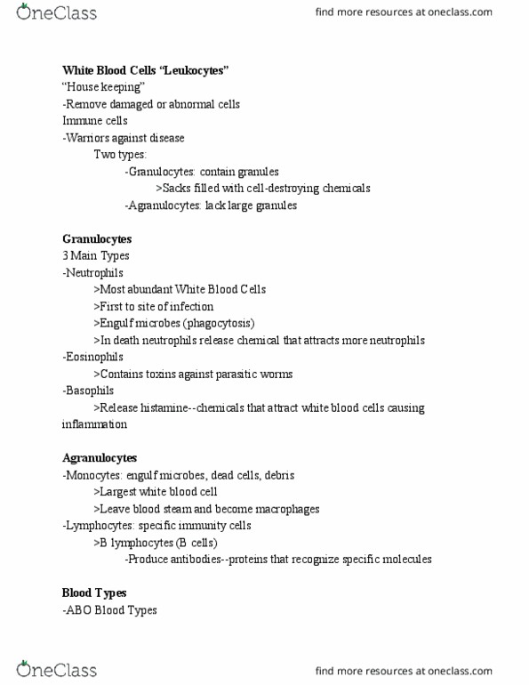 BIOL 100 Lecture Notes - Lecture 13: White Blood Cells (Album), B Cell, Granulocyte thumbnail