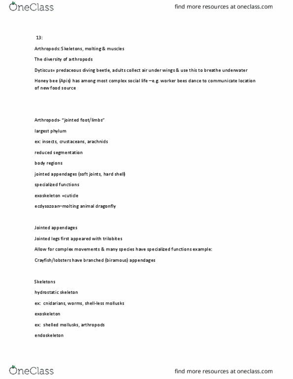 BIOL 111 Lecture Notes - Lecture 16: Dytiscidae, Hydrostatic Skeleton, Dytiscus thumbnail