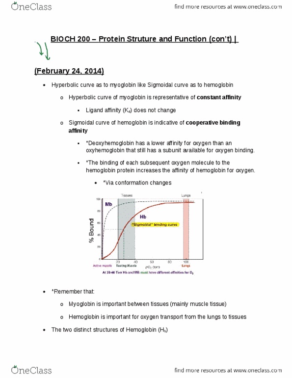 BIOCH200 Lecture Notes - Hemoglobin, Cooperative Binding, Myoglobin thumbnail