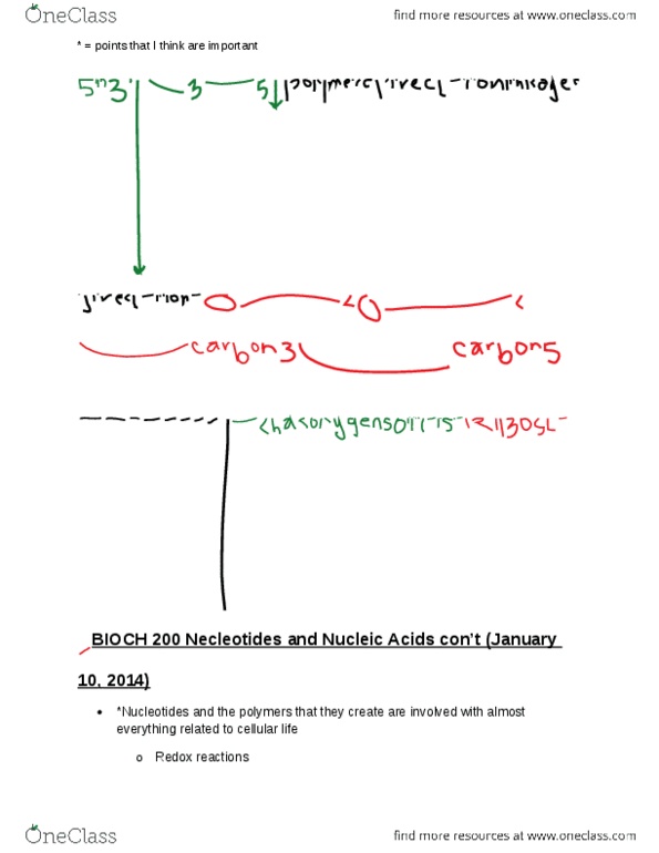 BIOCH200 Lecture Notes - Methyl Group, Pyrimidine, Purine thumbnail