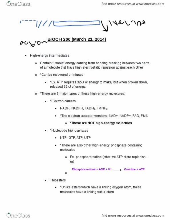 BIOCH200 Lecture Notes - Coenzyme Q10, Covalent Bond, Flavin Mononucleotide thumbnail