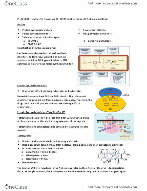 PHAC 3001 Lecture Notes - Lecture 25: Protein Synthesis Inhibitor, Dna Gyrase, Tigecycline thumbnail