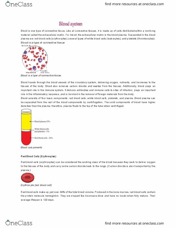 ANAT 100 Lecture Notes - Lecture 8: Red Blood Cell, Platelet, White Blood Cell thumbnail