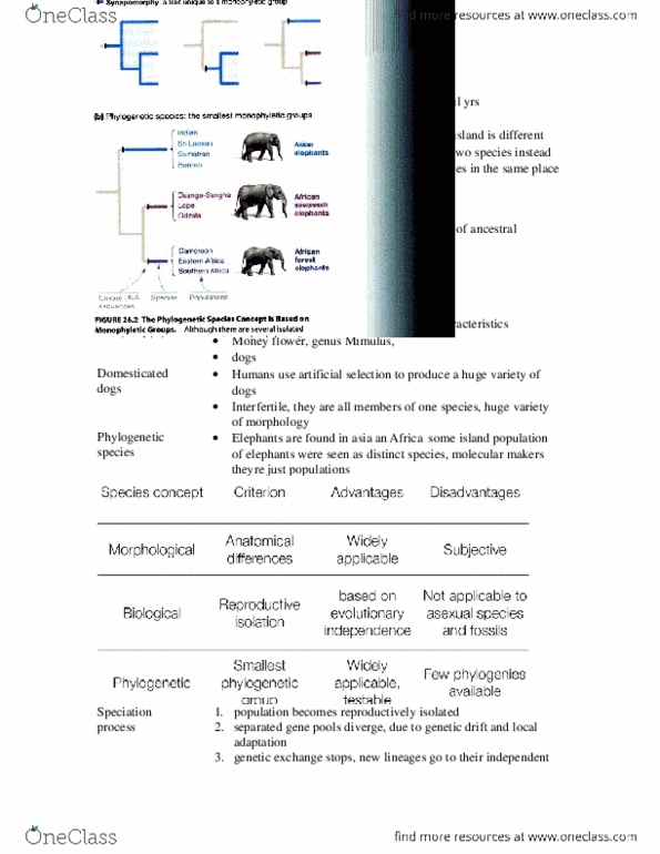 document preview image