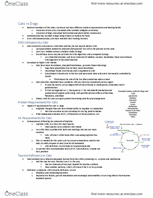 ANSC 3120 Lecture Notes - Lecture 12: Starch Gelatinization, Glucokinase, Feed Dogs thumbnail