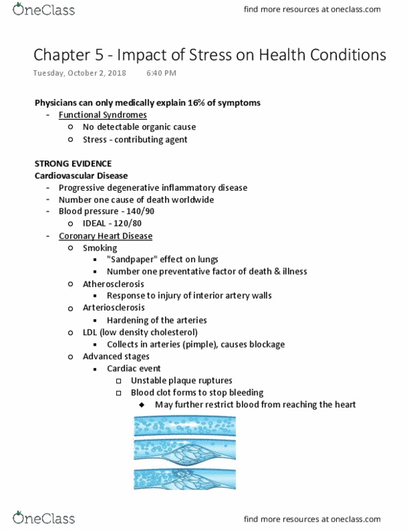 PSY 805 Lecture Notes - Lecture 5: Vulnerable Plaque, Sandpaper, Thrombus thumbnail