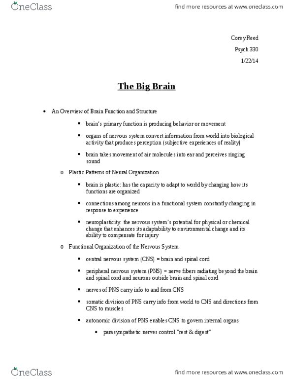 PSYCH 330 Lecture Notes - The Big Brain, Posterior Cerebral Artery, Central Nervous System thumbnail