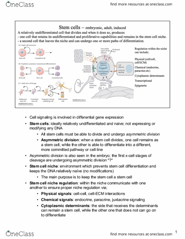 document preview image