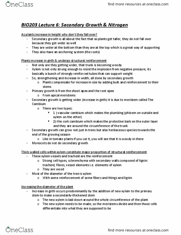 BIO210Y5 Lecture Notes - Lecture 7: Cork Cambium, Xylem, Secondary Growth thumbnail